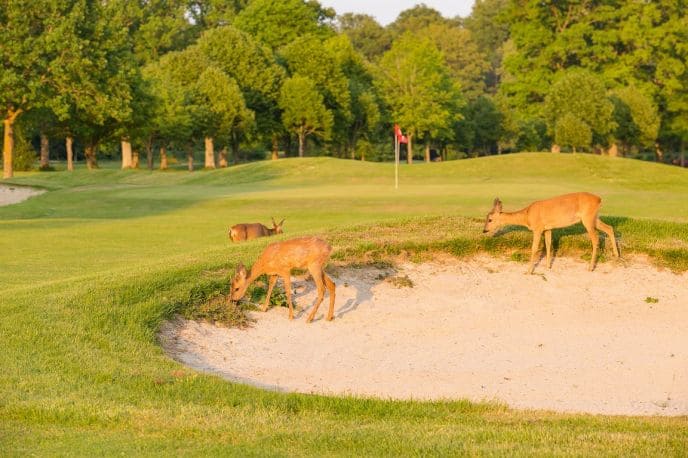 Parcours 9 trous près de Paris, Yvelines (78), Resonance Golf Collection