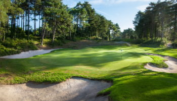 golf d'hardelot parcours les pins à Neufchâtel-Hardelot, Pas-de-Calais (62)