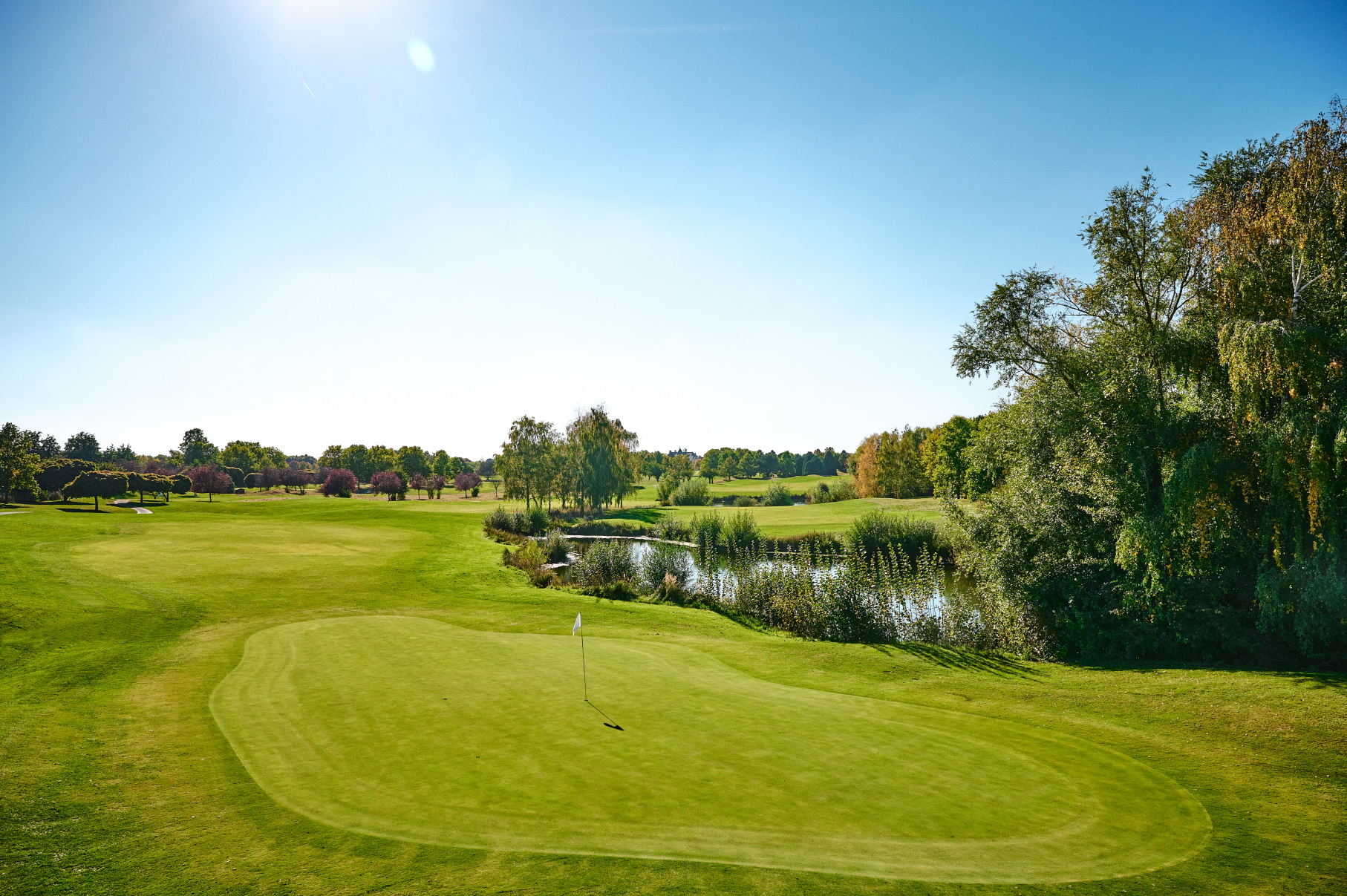 Golf Paris Val d'Europe, green