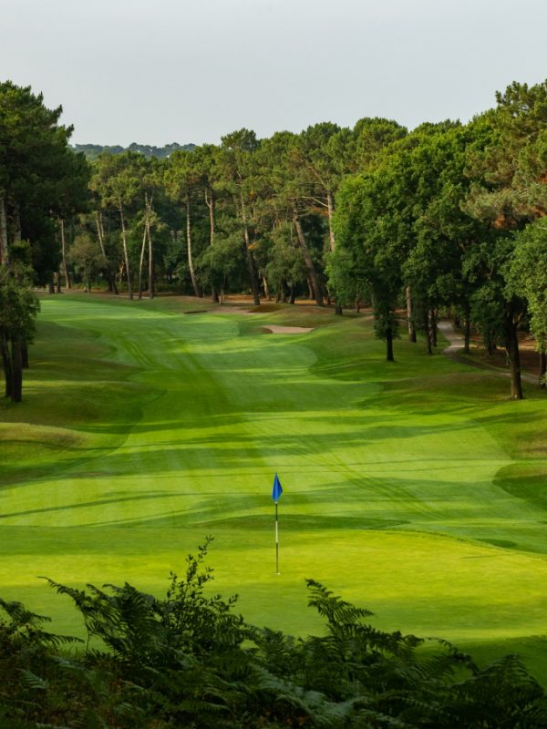 jouer au golf en hiver côte basque resonance golf collection