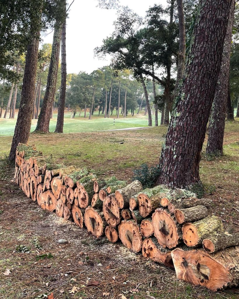 Création d'hôtels à insectes au Golf de Seignosse, dans Les Landes (40), Resonance Golf Collection