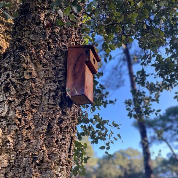 Nichoirs à oiseaux pour préserver les espèces et leur permettre de se nourrir, Golf de Seignosse, Resonance Golf Collection