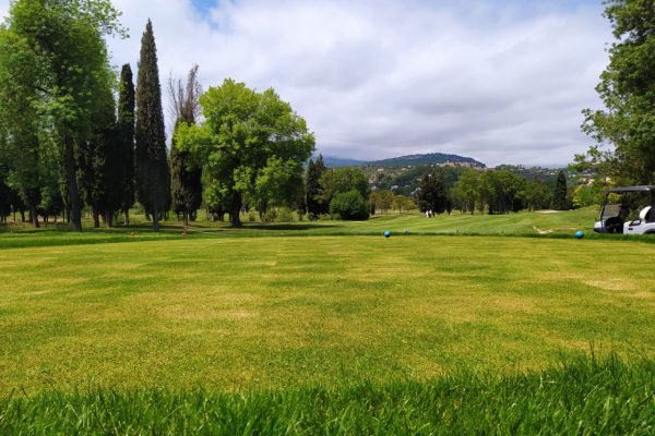 Regeneration of the Green Carpet