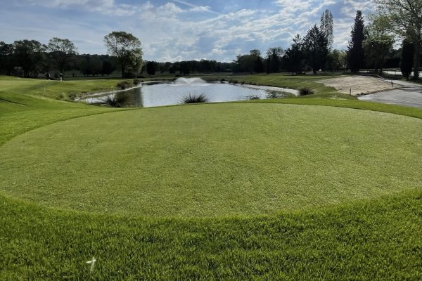 Opening of 7 new Tee Boxes