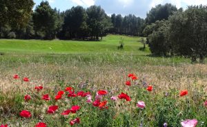 Journée mondiale de l’environnement 2023 - Open Golf Club