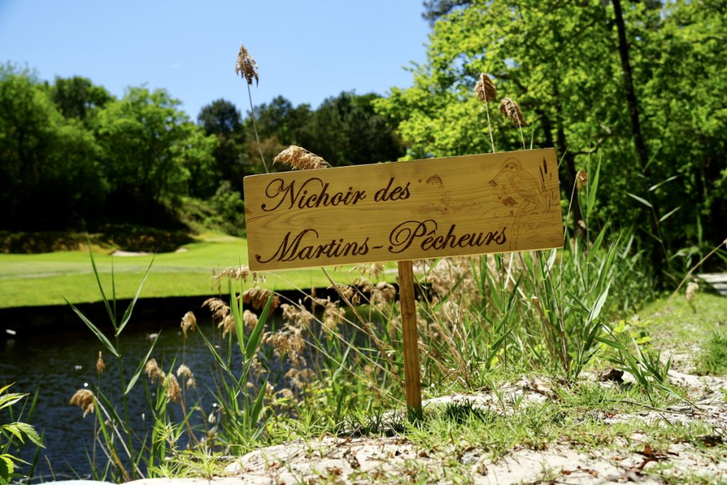 Nichoir à oiseaux, création d'habitat sur nos parcours de golf, Resonance Golf Collection