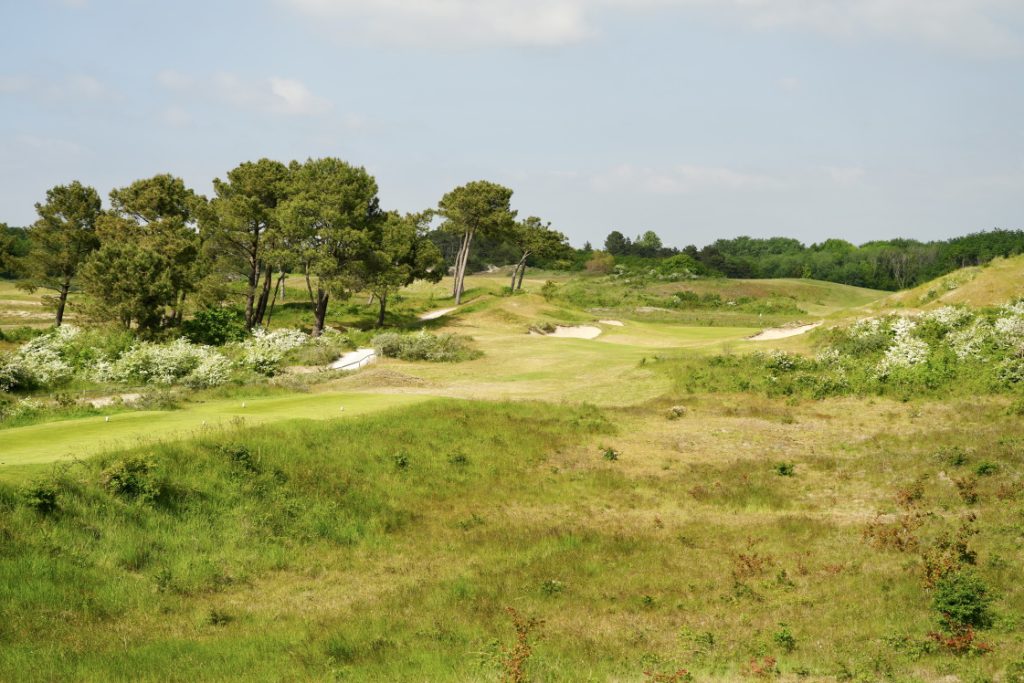 Abords fleuri au Golf du Touquet, préservation de la biodiversité, Resonance Golf Collection