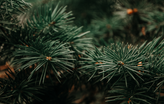 Treat your loved ones to a Resonance Golf Collection experience this Christmas!