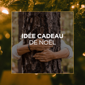 Wellness Golf Experience - 18 trous & Bien-Être au Golf d’Hardelot Au cœur d’un environnement naturel exceptionnel, la Wellness Golf Experience du Golf d’Hardelot associe le plaisir du jeu à une véritable parenthèse bien-être. Ce parcours 18 trous, suivi d’un moment de détente guidé, offre une journée complète dédiée à l’harmonie entre corps, esprit et nature.