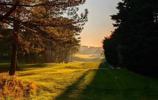 2h d'atelier pour 19€ par personne - Initiez-vous au golf en janvier 2026 !