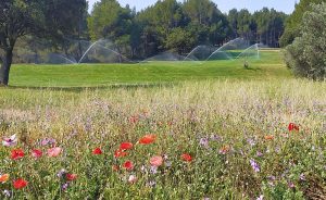 Atelier : Gestion de la ressource en eau - Open Golf Club