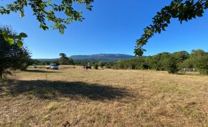 Nouveau green 13 au Golf Sainte Baume - Open Golf Club