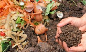 Bio-waste Management at Bastide de la Salette - Open Golf Club